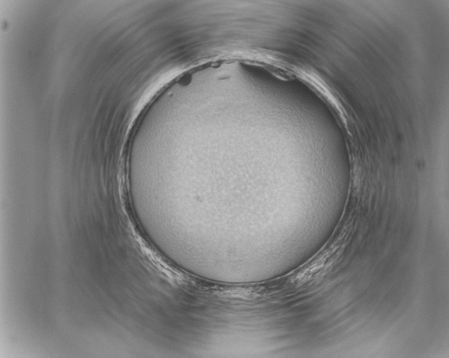 X0000057581048200510171703