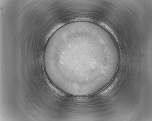 X0000057581049200510171703