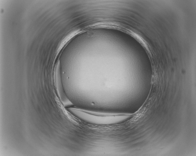 X0000057581050200510171703