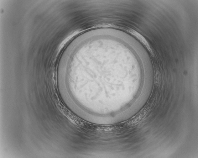 X0000057581051200510171703