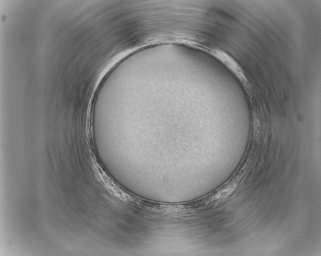 X0000057581052200510171703