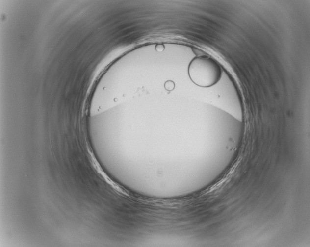 X0000057581053200510171703