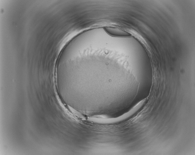 X0000057581055200510171703