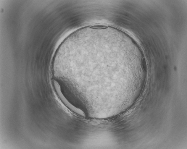 X0000057581056200510171703