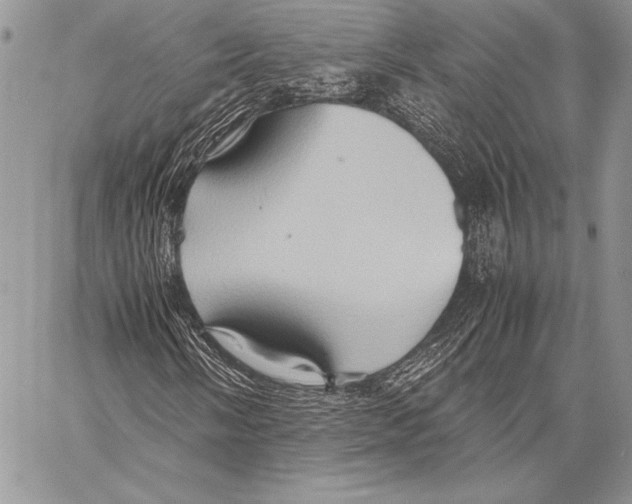 X0000057581058200510171702