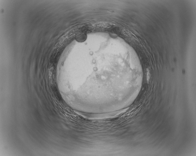 X0000057581059200510171702