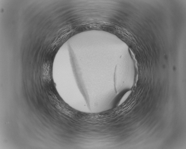 X0000057581060200510171702