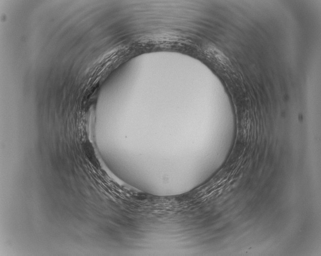 X0000057581062200510171702