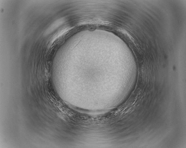 X0000057581064200510171702