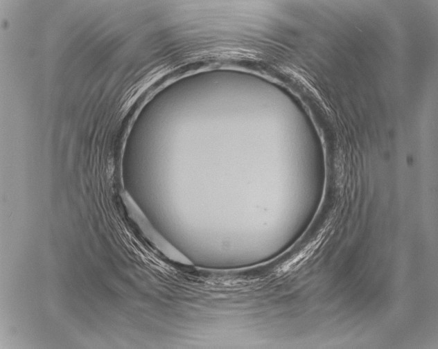 X0000057581065200510171702