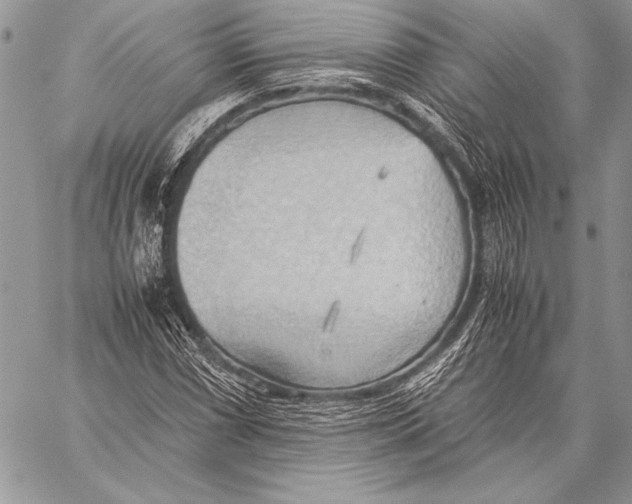 X0000057581066200510171702