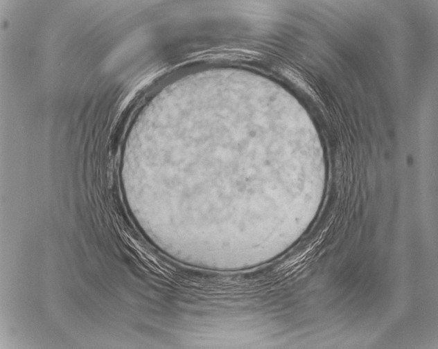 X0000057581067200510171702