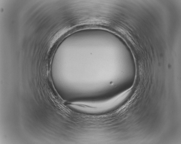 X0000057581069200510171702