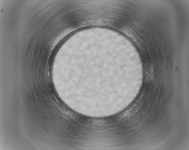 X0000057581070200510171702