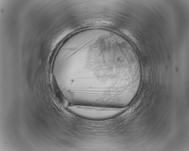 X0000057581071200510171702