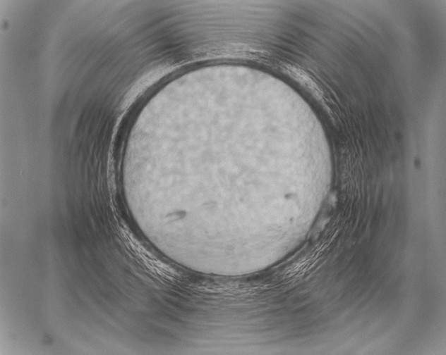 X0000057581072200510171702