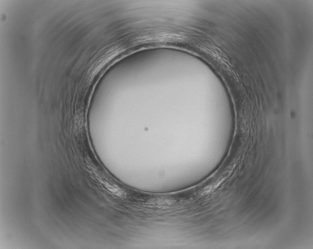 X0000057581073200510171702