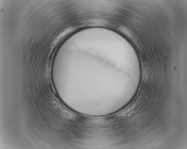 X0000057581074200510171702