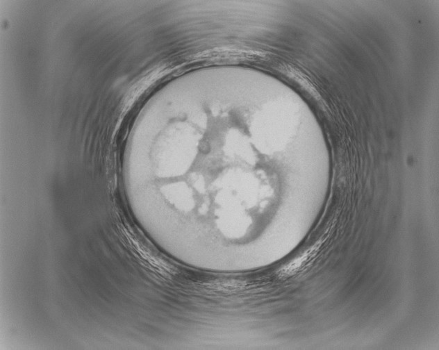 X0000057581075200510171702