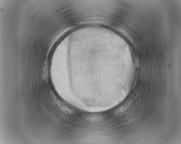 X0000057581076200510171702