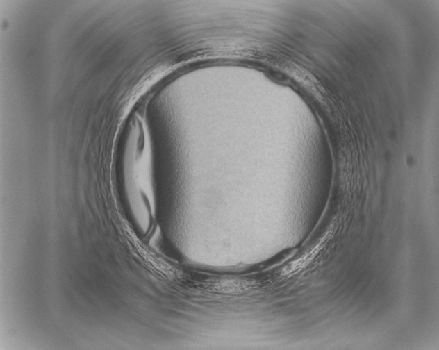 X0000057581077200510171702