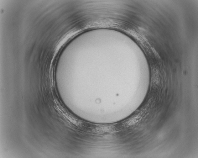 X0000057581078200510171702