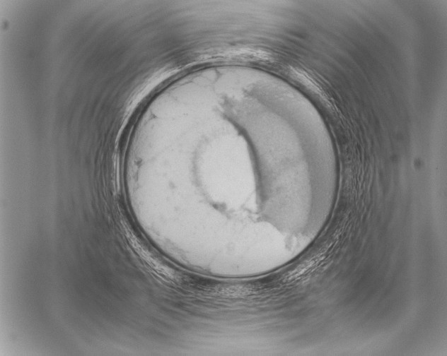 X0000057581079200510171702