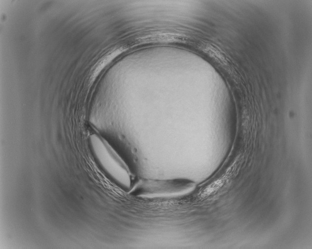 X0000057581081200510171702