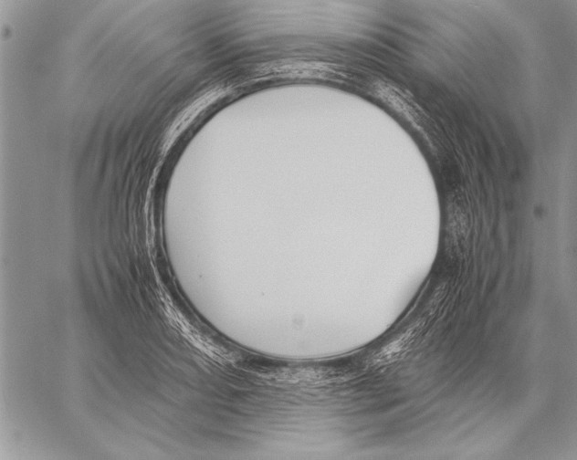 X0000057581082200510171702