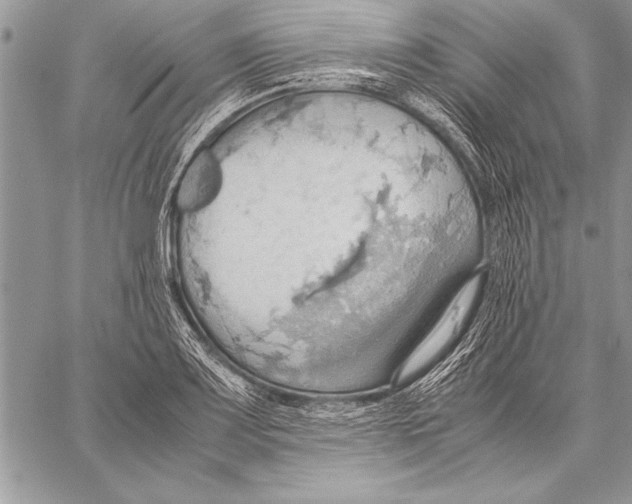 X0000057581083200510171702