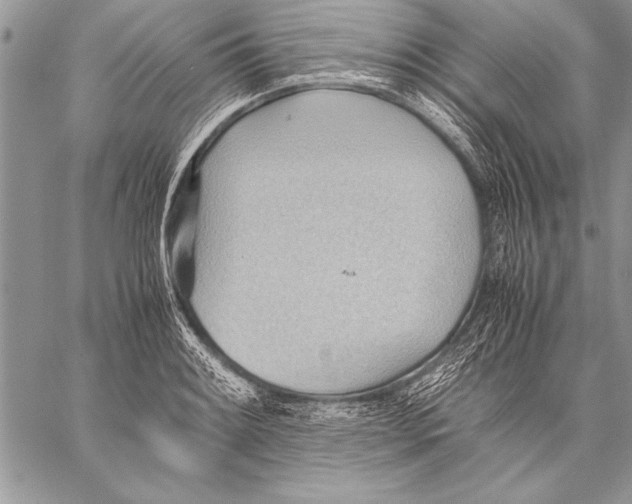 X0000057581084200510171702