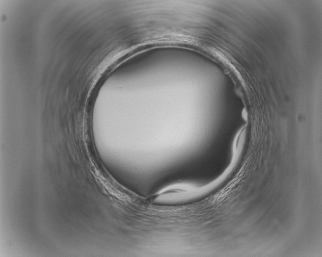 X0000057581085200510171702