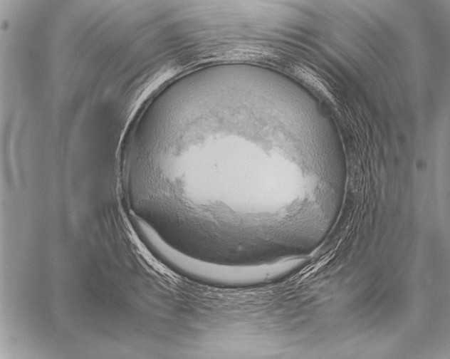 X0000057581087200510171701