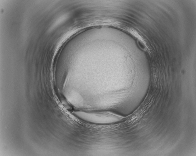 X0000057581088200510171701