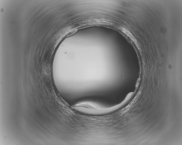 X0000057581089200510171701