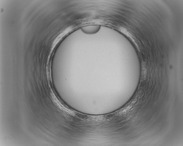 X0000057581090200510171701