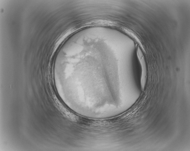 X0000057581091200510171701