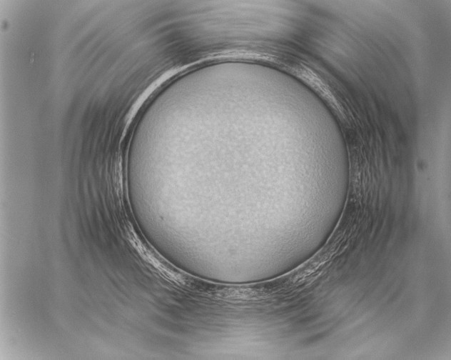 X0000057581092200510171701