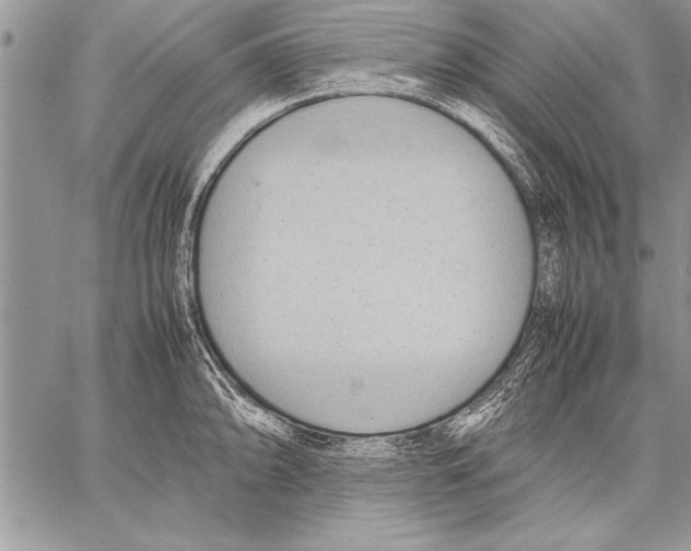 X0000057581094200510171701