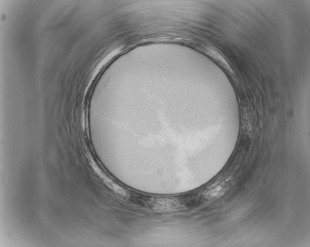 X0000057581095200510171701