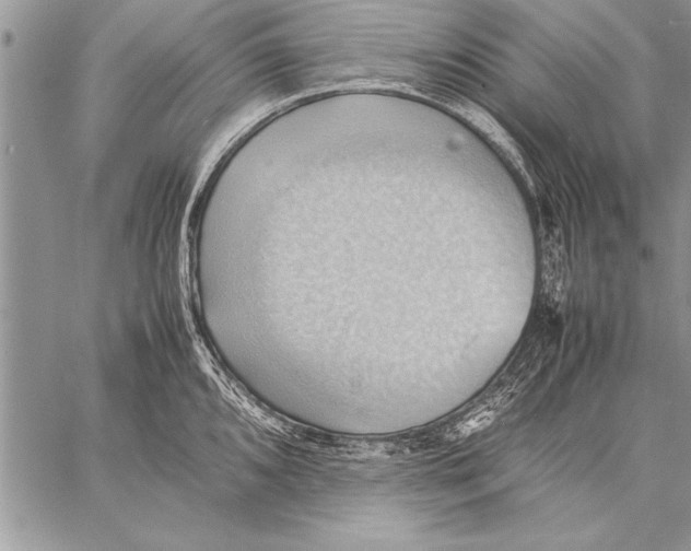 X0000057581096200510171701