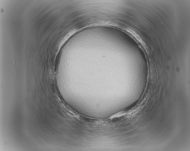 X0000057581097200510171701