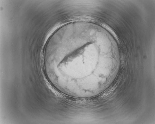 X0000057581099200510171701