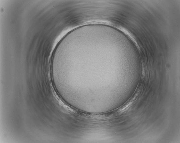 X0000057581102200510171701