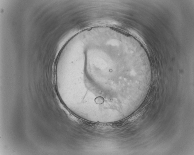 X0000057581103200510171701