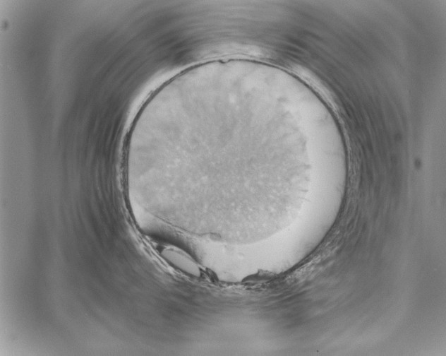 X0000057581104200510171701