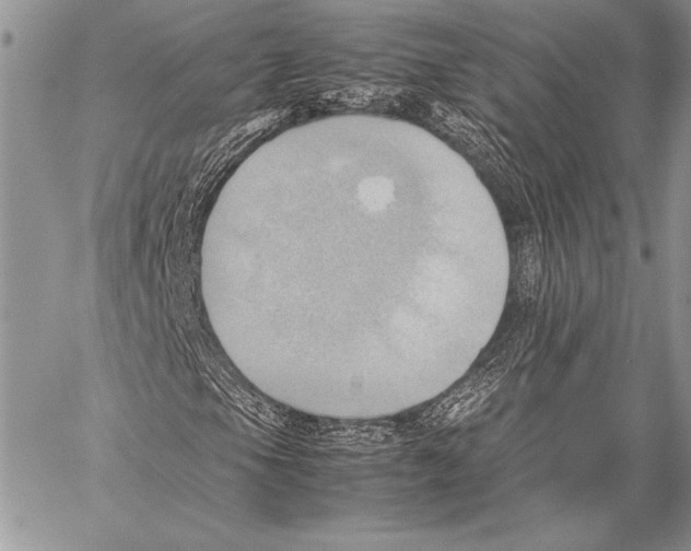 X0000057581105200510171700