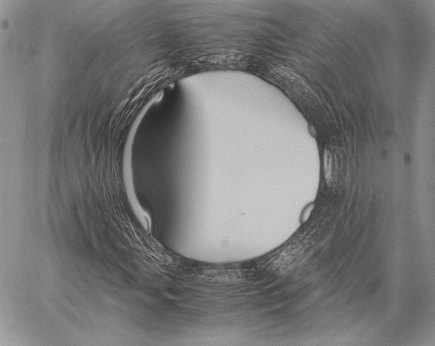 X0000057581107200510171700