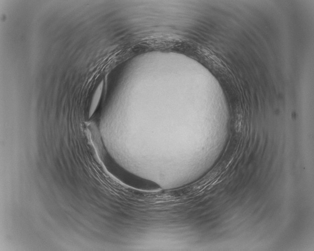 X0000057581108200510171700