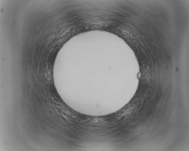 X0000057581109200510171700